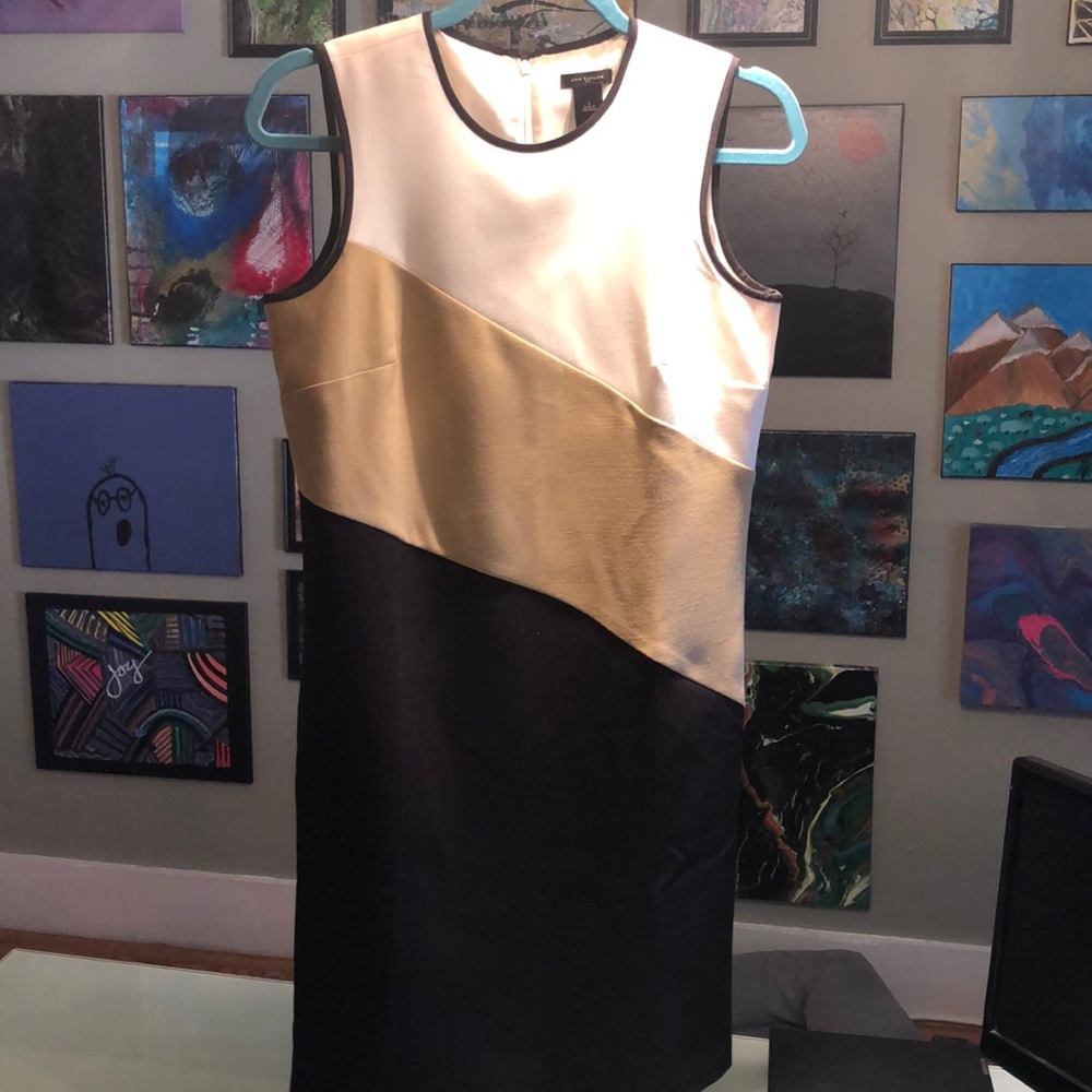 Lined Sleeveless Dress